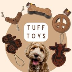 a brown dog surrounded by assorted items and the words tuff toys above it