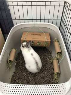 a small white and gray animal in a cage next to a cardboard box with twine on it