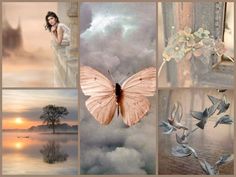 a collage of pictures with birds, flowers and a butterfly in the sky over water