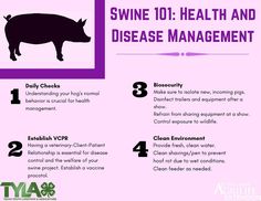 the health and disease management guide is shown in this graphic, with instructions on how to use