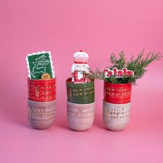 three small pots with plants in them on a pink background, one has a christmas sign