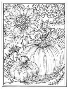 a coloring page with pumpkins and sunflowers