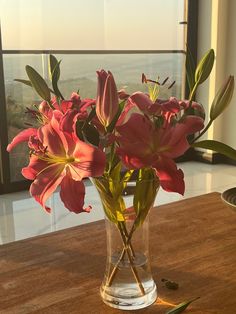 some pink flowers in a clear vase on a table near a window with a view