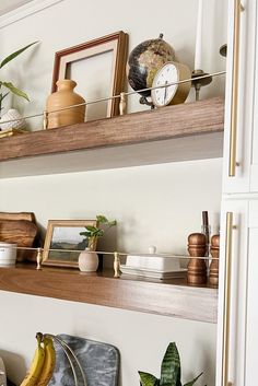 some shelves with plants and pictures on them