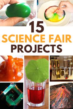 15 science fair projects for kids to make