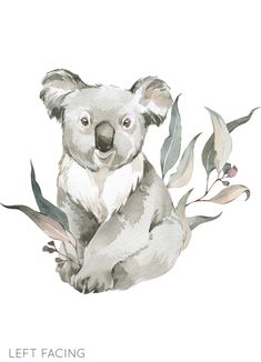 a watercolor painting of a koala bear sitting on top of a tree branch