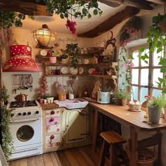 an old fashioned kitchen with lots of potted plants