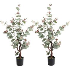 two small potted plants with pink and white flowers in them on a white background