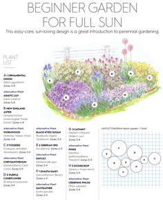 the garden design guide for beginners to learn how to plant and grow flowers in your garden