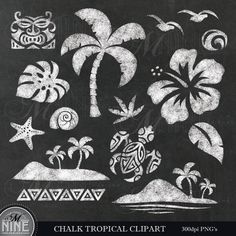 an image of chalk art with palm trees and other tropical items on the blackboard