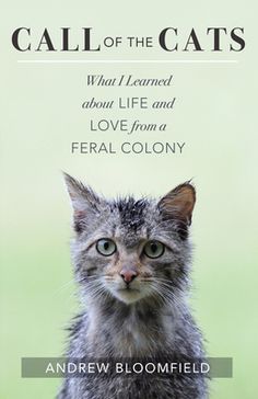 a book cover with a cat looking at the camera and text that reads, call of the cats what i learned about life and love from a feral colony