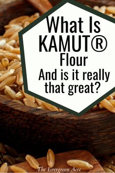 text "what is kamut flour and is it really that great- the evergreen acre" black text white background kamut wheat berries in a wooden bowl Khorasan Flour Recipes, Kamut Bread Machine Recipes, Kamut Sourdough Bread