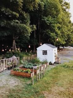 an outdoor garden area with various plants and lights