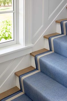 blue carpeted stairs leading up to a window