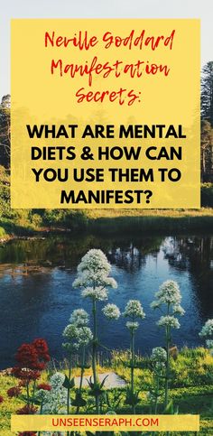 a pond with white flowers in the grass and text overlay that reads, what are mental diets and how can you use them to manifest?