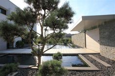 an outdoor area with water and trees in the foreground, next to a house