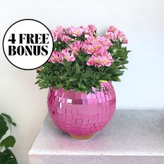 a pink vase filled with flowers sitting on top of a white counter next to a potted plant