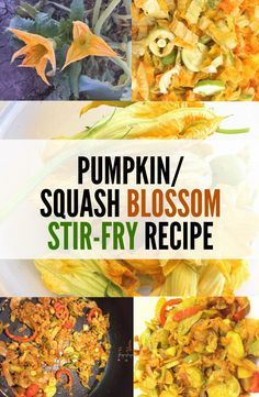 pumpkin / squash blossom stir - fry recipe is shown in four different pictures with the title