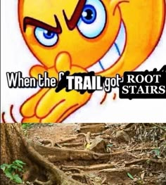 an orange bird with blue eyes and the caption when the trail got root stairs