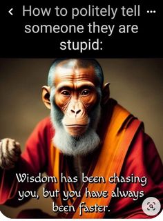 a monkey with a quote on it that says, how to politify tell someone they