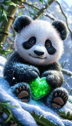 a panda bear sitting in the snow holding a green heart