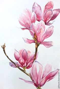 a painting of pink flowers on a white background