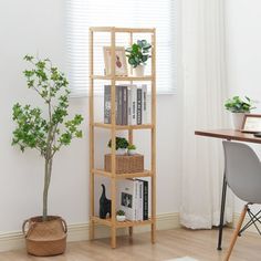 a room with a desk, chair and bookshelf filled with various plants in it