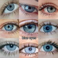 blue eyes with long lashes are shown in several different positions and sizes, including the upper half