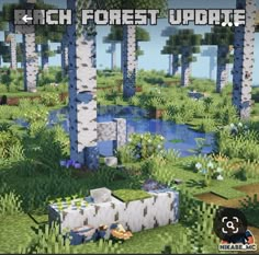 an image of a forest with trees and plants in the foreground, text reads rich forest update