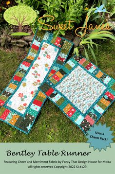 Bentley Table Runner Downloadable Pattern by Sweet Janes Quilting and Design Quilted Table Runner Patterns, Square Table Runner, Table Runner Patterns, Quilt Crafts, Display Frames, Quilted Table Runners Patterns, Blackbird Designs, Seek Peace, Quilting Notions