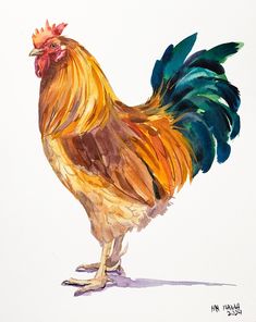 a watercolor painting of a rooster standing on one leg and looking to the side