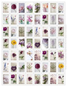 flowers are arranged in squares on a sheet of postage stamps with different colors and sizes