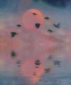 birds flying in the air over water at sunset with pink and blue sky behind them