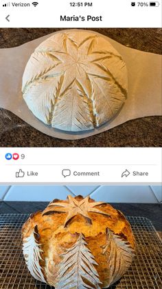 two pictures showing different types of bread on top of each other, and one with an image of a palm tree in the middle