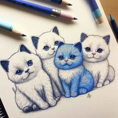 a drawing of three kittens sitting next to each other