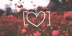 the word i love is written in front of a field of flowers with a heart drawn on it