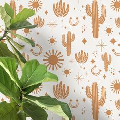 a plant with green leaves in front of a white wallpaper design that has cactus and stars on it