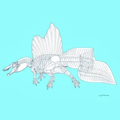 a drawing of a dinosaur skeleton on a blue background with wings spread out to the side