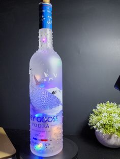 a bottle of vodka sitting on top of a table next to a potted plant