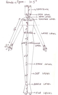 a drawing of the human body with measurements and names on it's back side