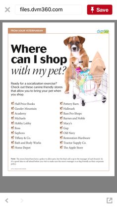 a dog sitting in a shopping cart with the words where can i shop with my pet?