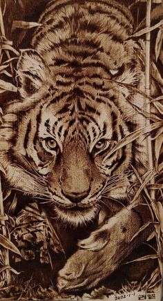 a drawing of a tiger laying in the grass with its paw on it's chest