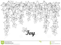 ivy leaves with the word joy in black and white stock photo - image 34897