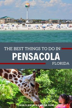 the best things to do in pensacola florida