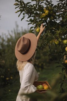 a woman in a hat picking apples from an apple tree with her hand on the fruit basket