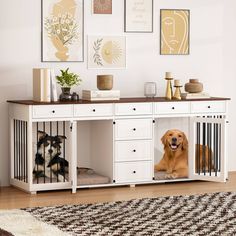 two dogs are sitting in their kennels and one is looking at the camera