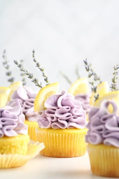 cupcakes with purple frosting and lavender sprinkles are arranged on a white surface