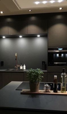 an image of a kitchen setting with plants on the counter top and lights above it