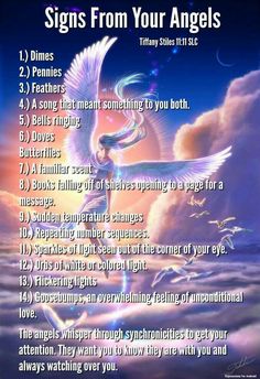 an image of angels on twitter with the words signs from your angels written below it