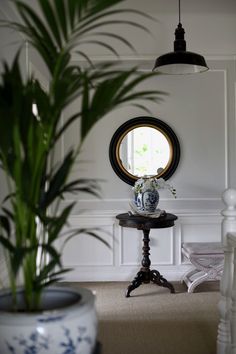 a potted plant sitting on top of a wooden table next to a round mirror